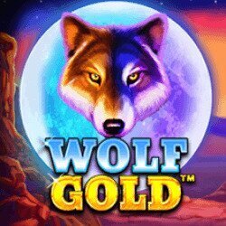 Wolf Gold Slot